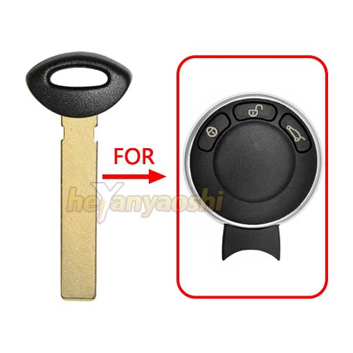 Picture of Emergency Key for Mini 3452819-01