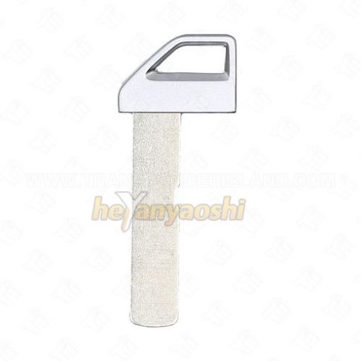 Picture of  Emergency Key for KIA EV9 81996 P2800