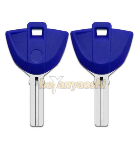 Picture of Bmw Motorcycle Key Shell Blue Color