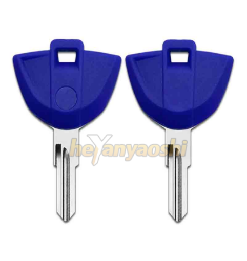 Picture of Bmw Motorcycle Key Shell Blue Color