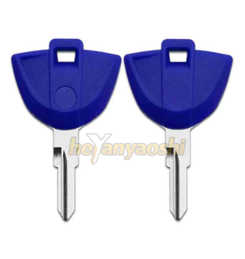 Picture of Bmw Motorcycle Key Shell Blue Color