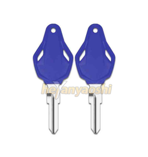 Picture of MV Agusta Motorcycle Key Shell Blue Color