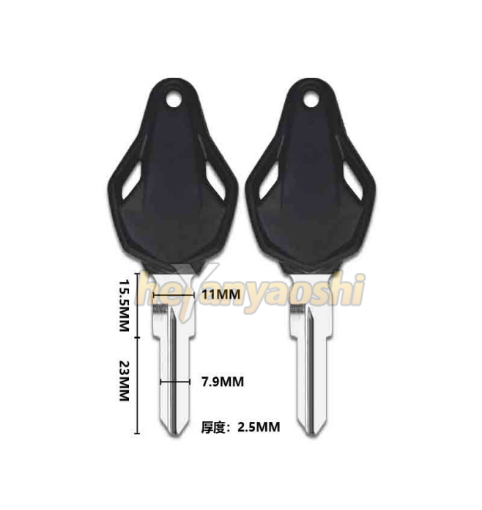 Picture of MV Agusta Motorcycle Key Shell Black Color