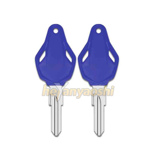Picture of MV Agusta Motorcycle Key Shell Blue Color