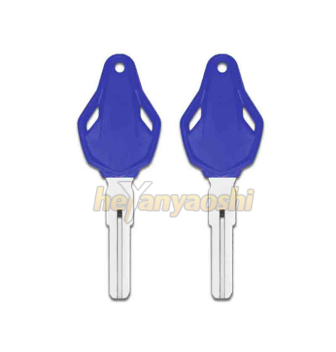 Picture of MV Agusta Motorcycle Key Shell Blue Color