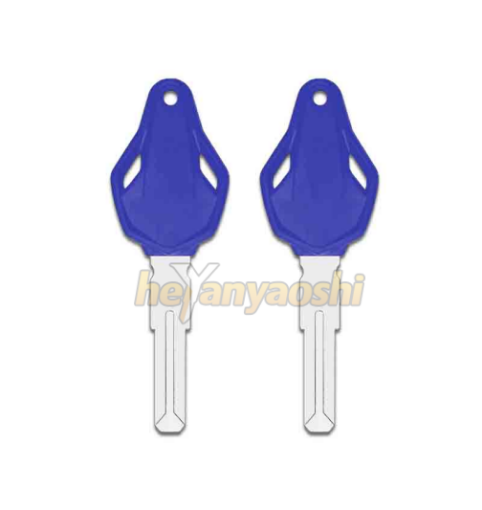 Picture of MV Agusta Motorcycle Key Shell Blue Color