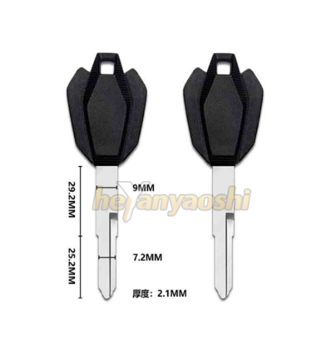 Picture of HAOJUE Motorcycle Key Shell Blue Color