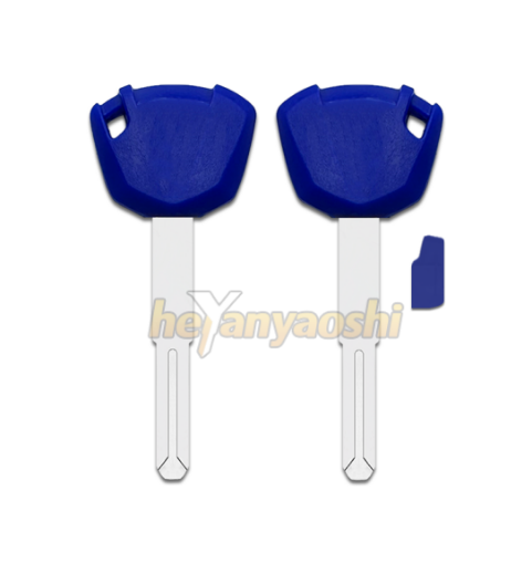 Picture of Kawasaki Motorcycle Key Shell Blue Color